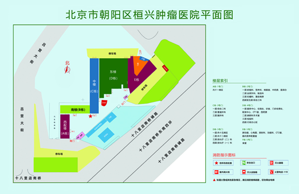 啊啊啊干我骚逼视频北京市朝阳区桓兴肿瘤医院平面图